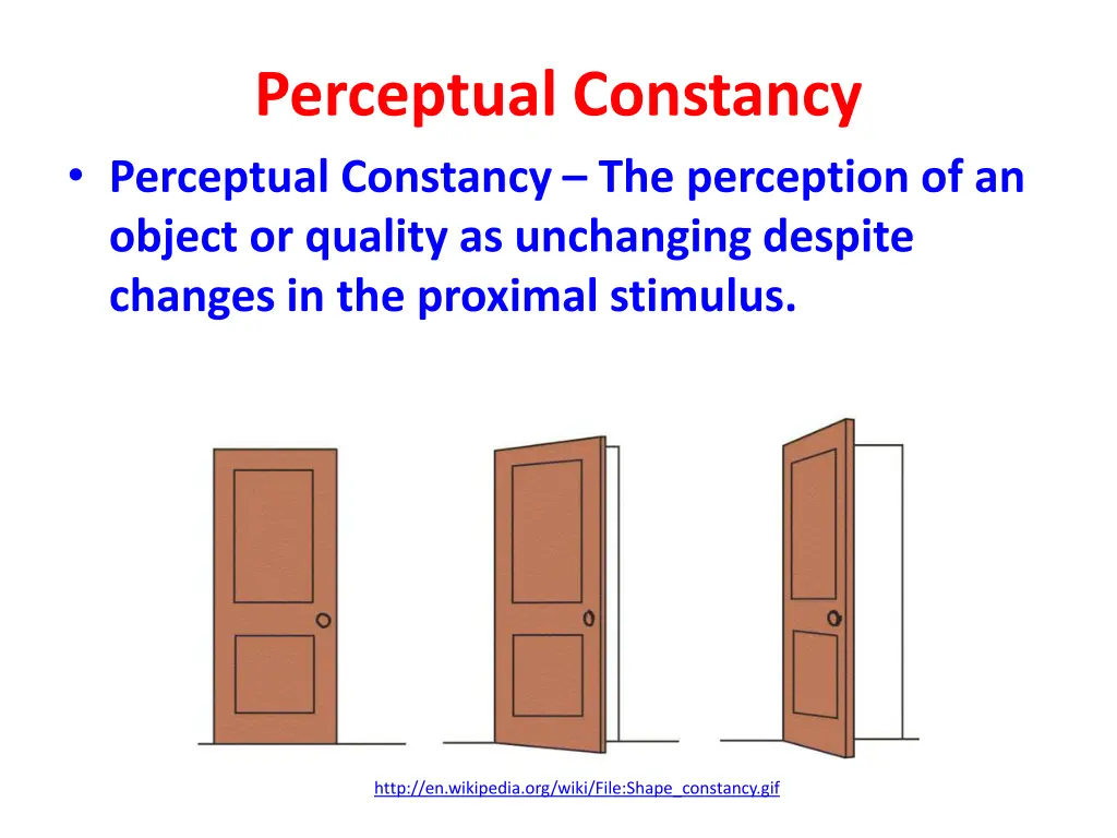 perceptual constancy perceptual constancy