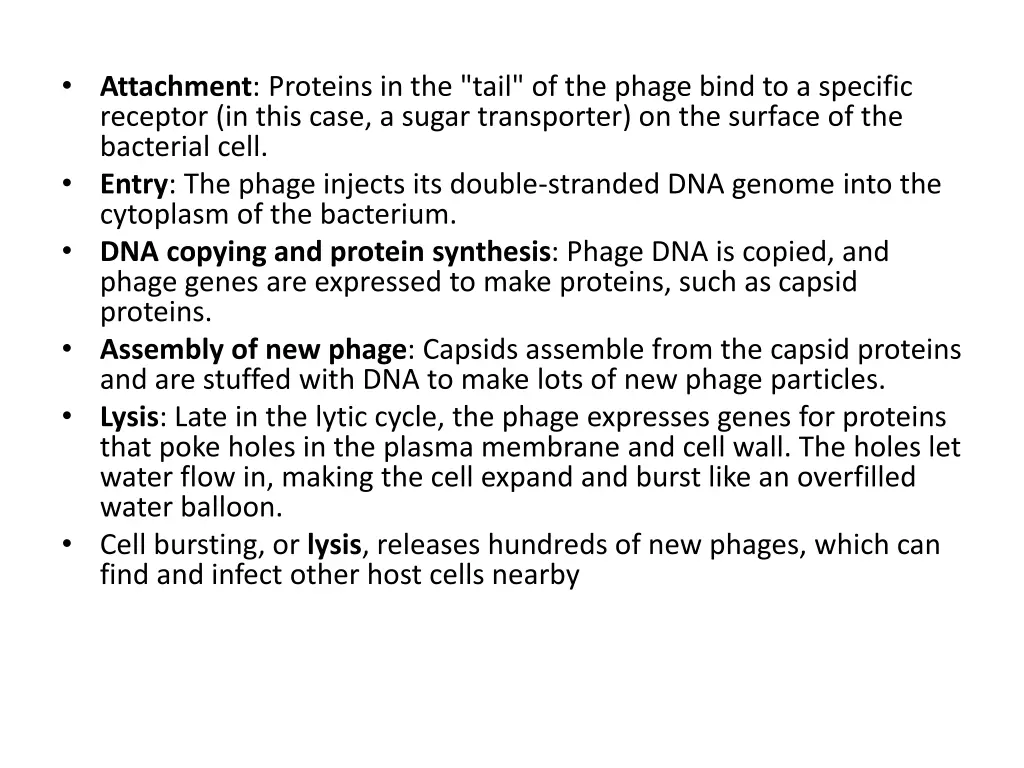 attachment proteins in the tail of the phage bind