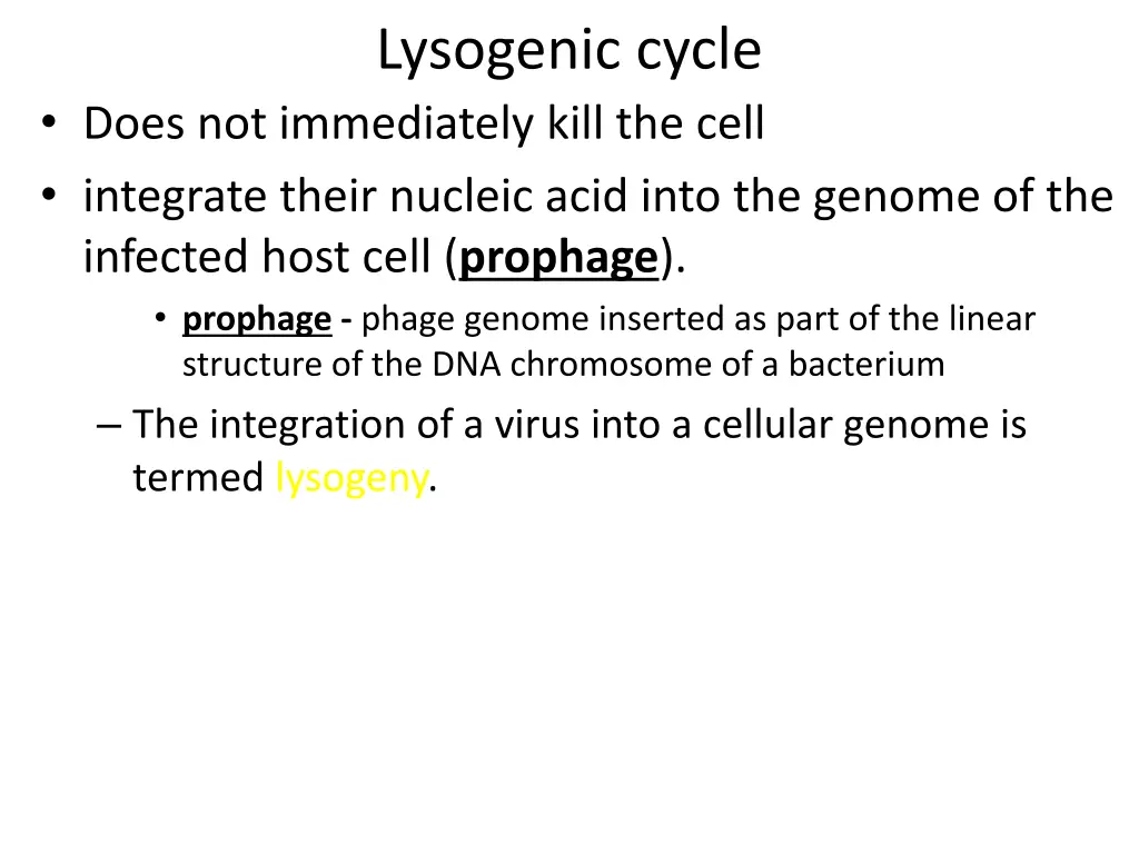 lysogenic cycle