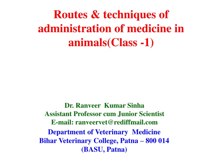 routes techniques of administration of medicine