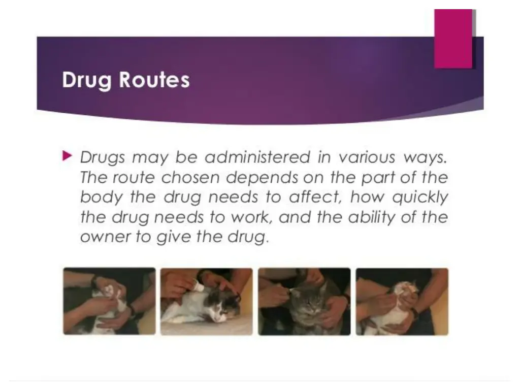 slide2