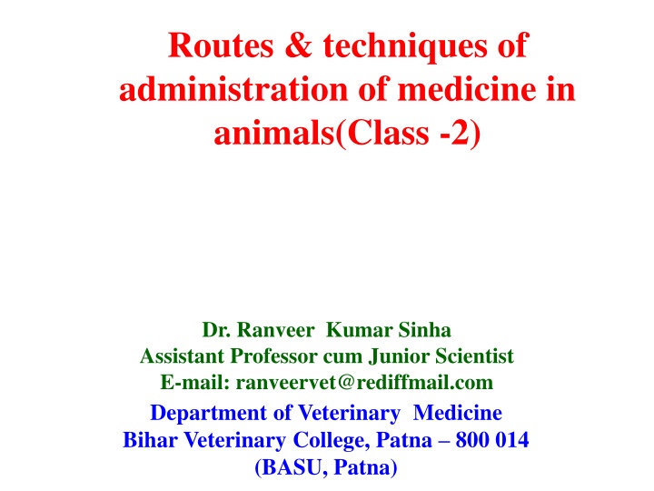 routes techniques of administration of medicine