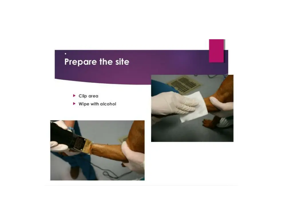 slide10