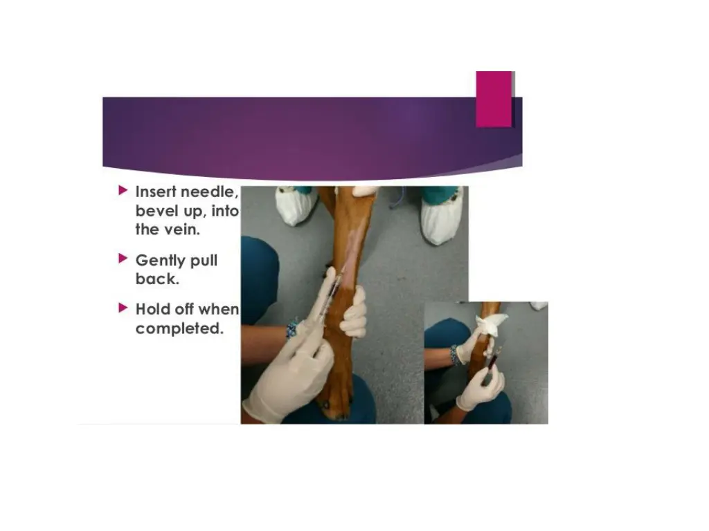 slide11