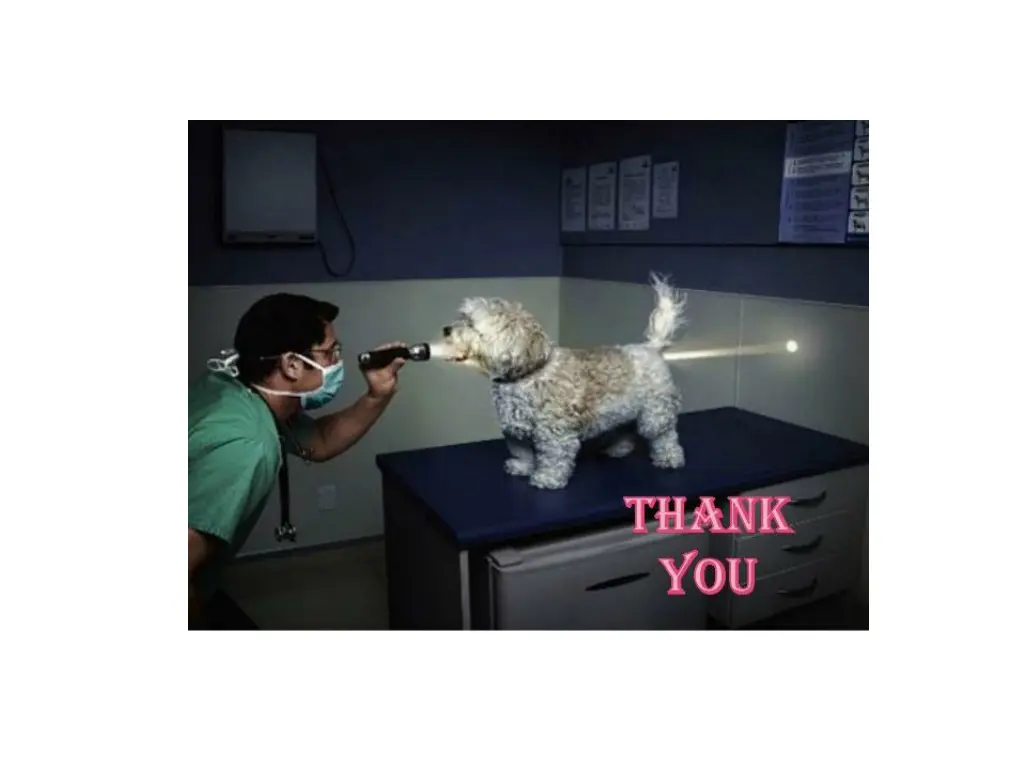 slide18