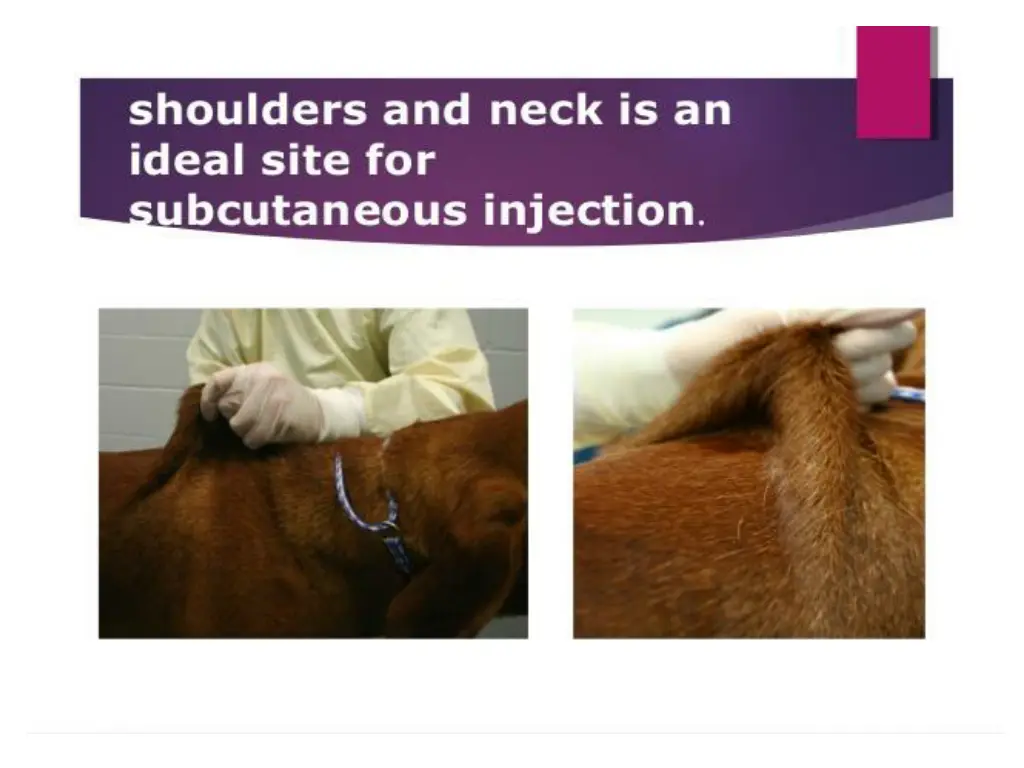slide3