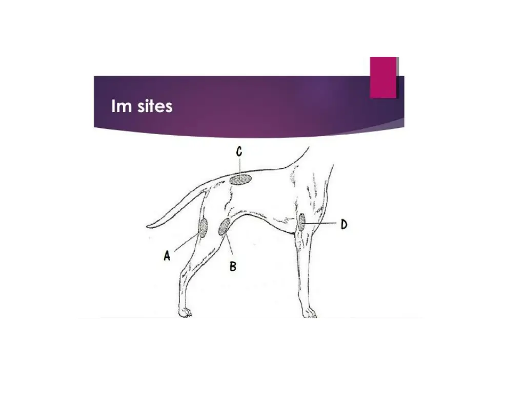 slide5