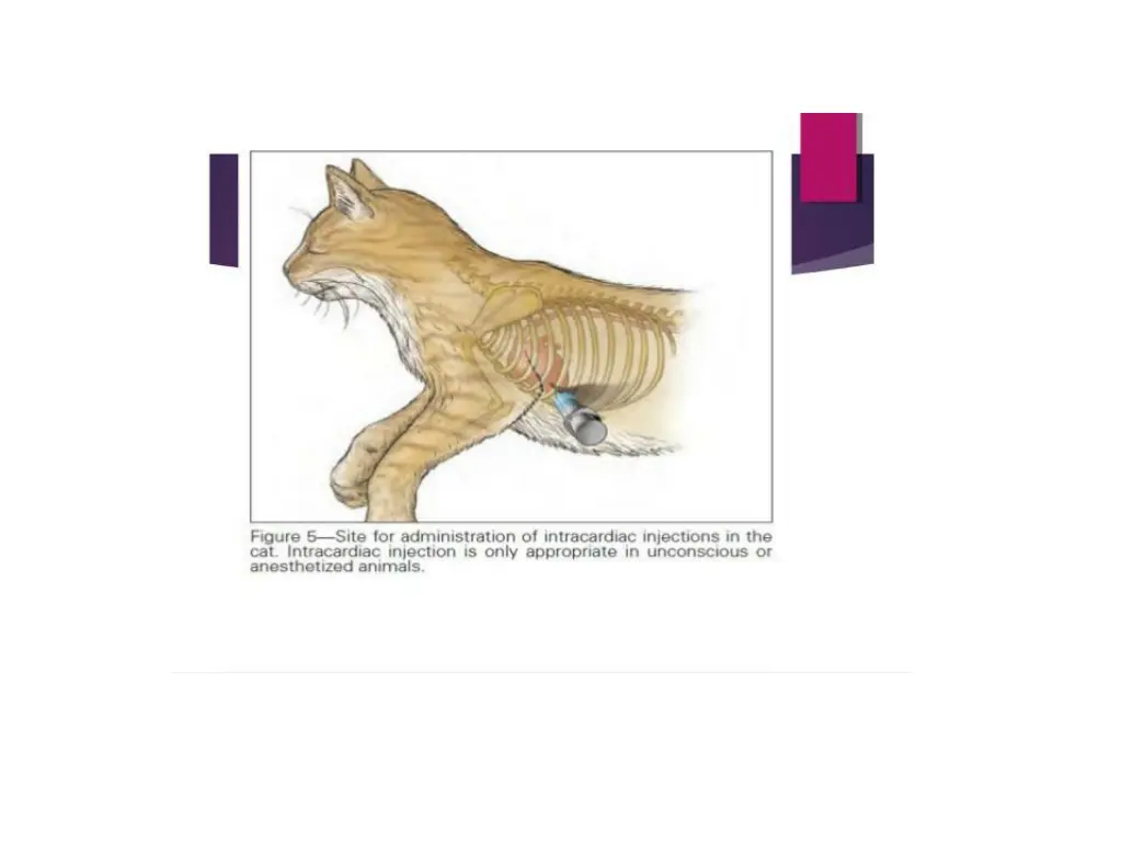 slide7