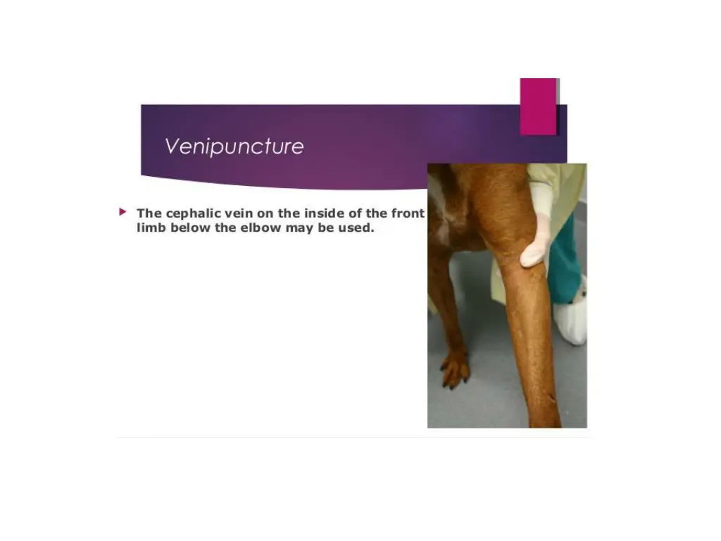 slide9