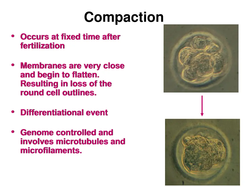 compaction