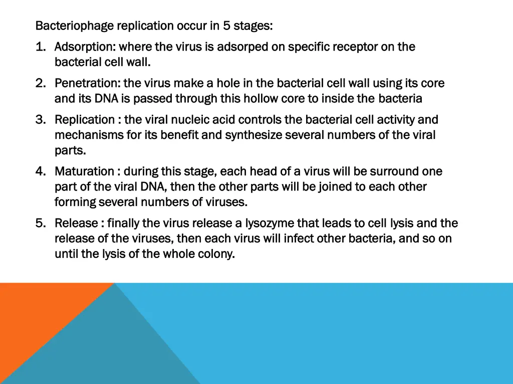bacteriophage replication occur in bacteriophage