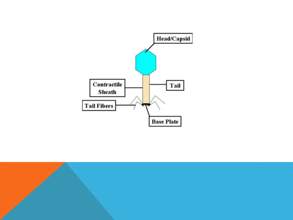 slide12