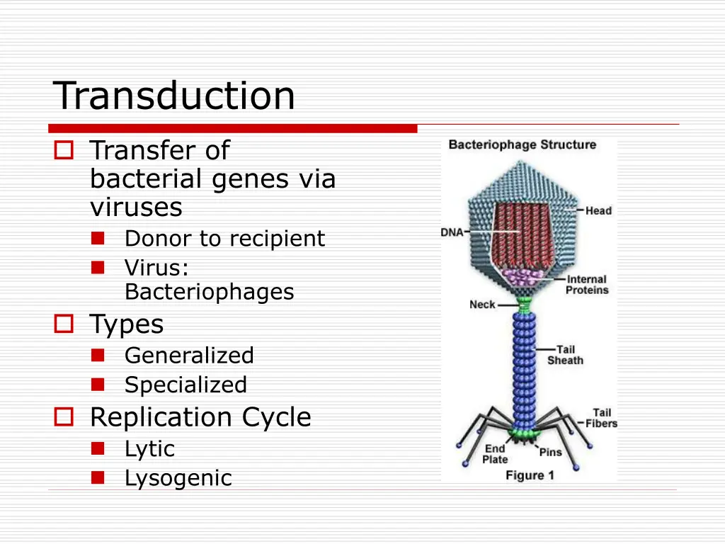 transduction