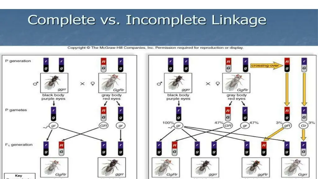 slide6