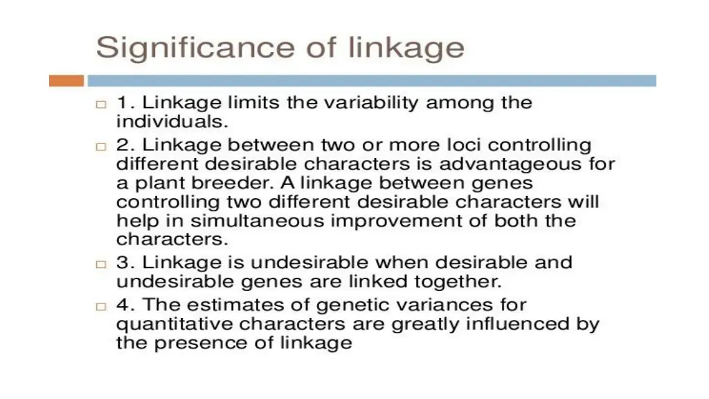 slide8