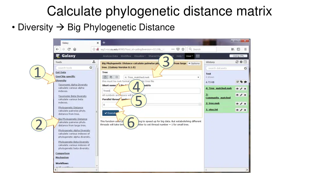 calculate phylogenetic distance matrix diversity