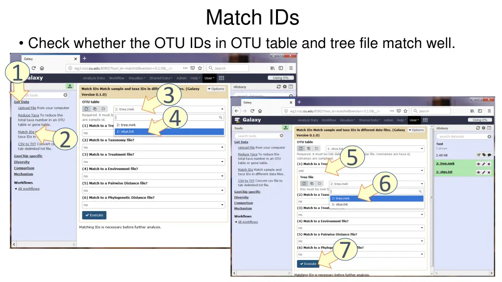 match ids