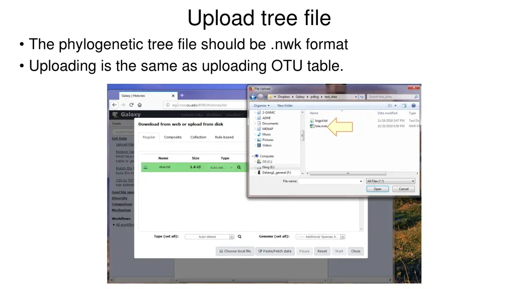 upload tree file