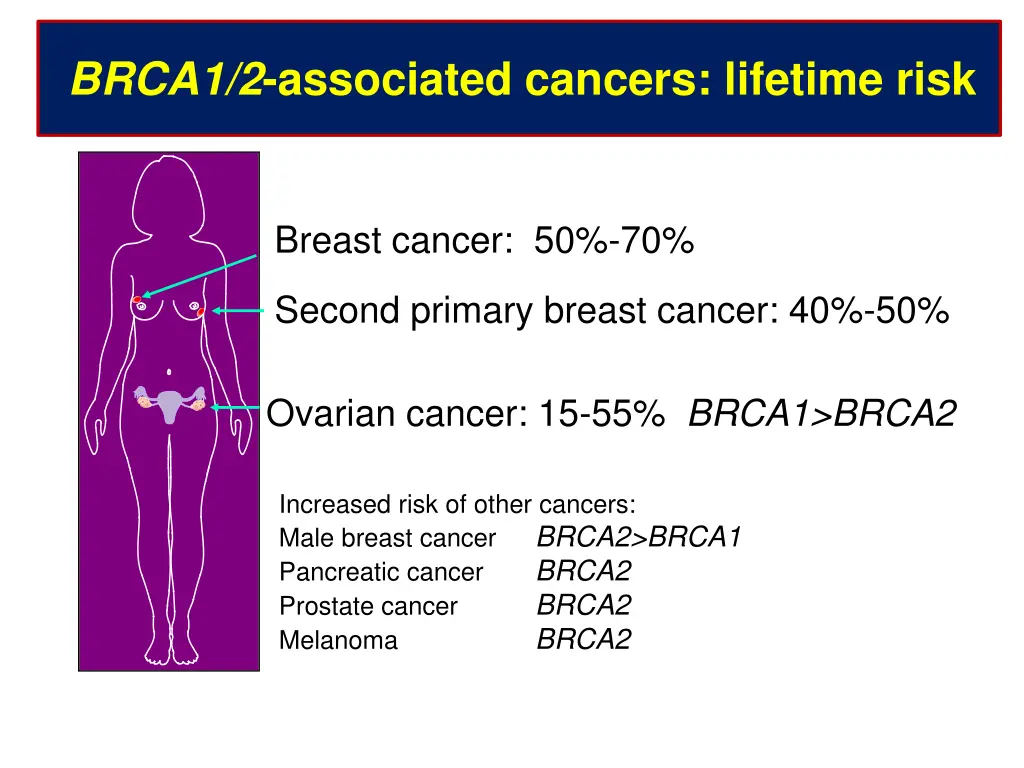 brca1 2 associated cancers lifetime risk