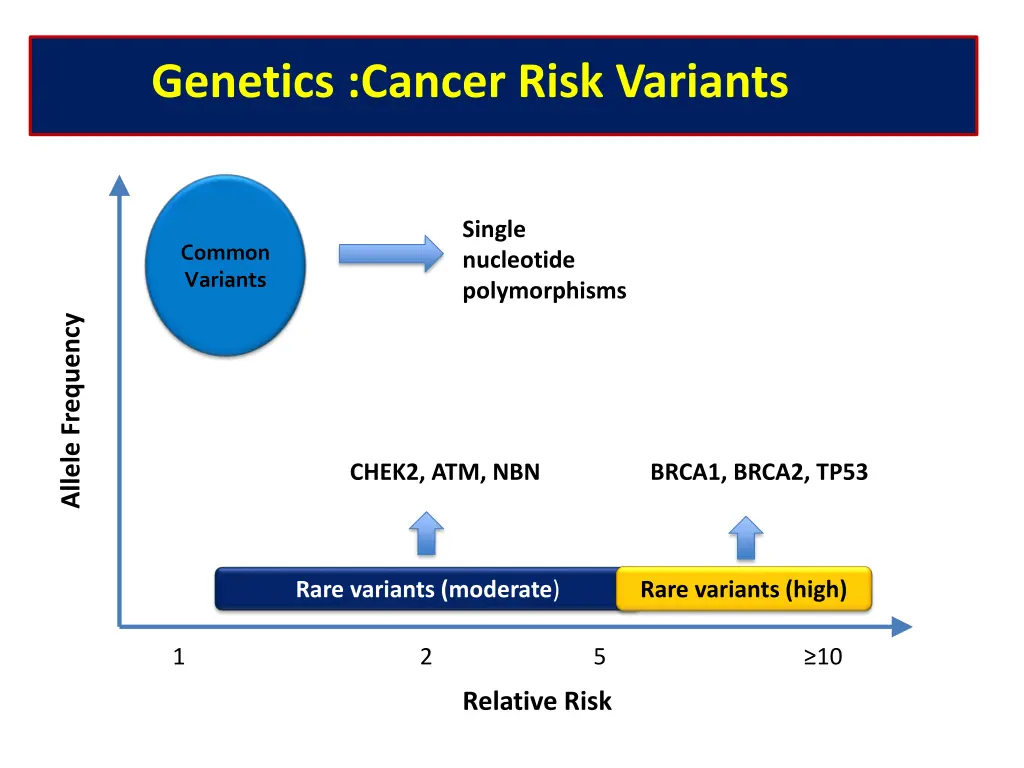 genetics cancer risk variants