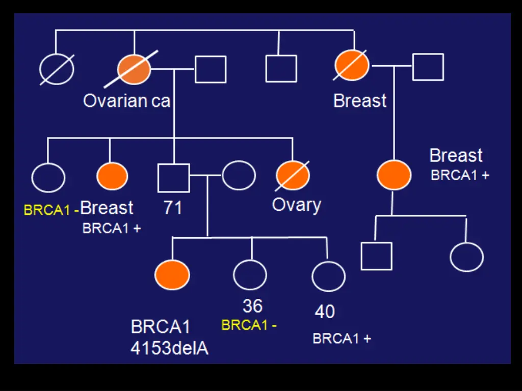slide9