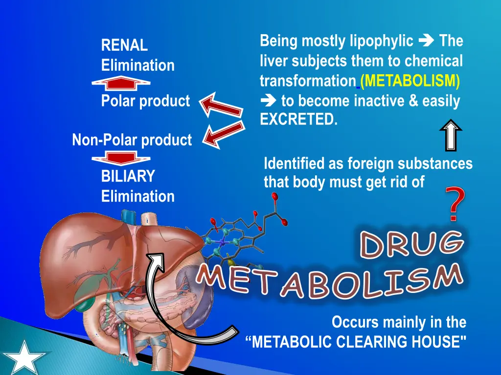being mostly lipophylic liver subjects them