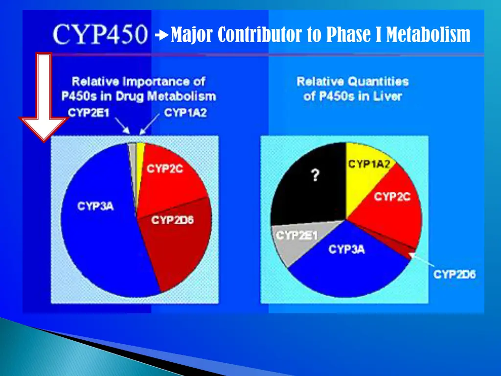 cyp450