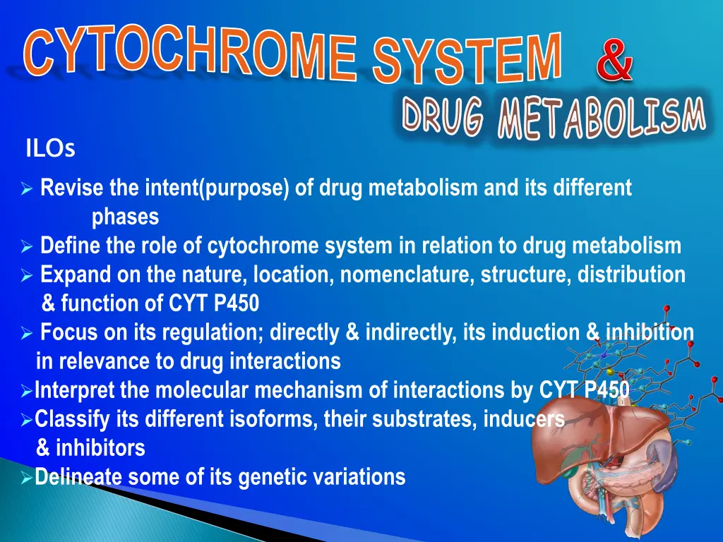 cytochrome system