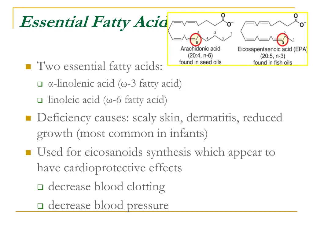 essential fatty acids