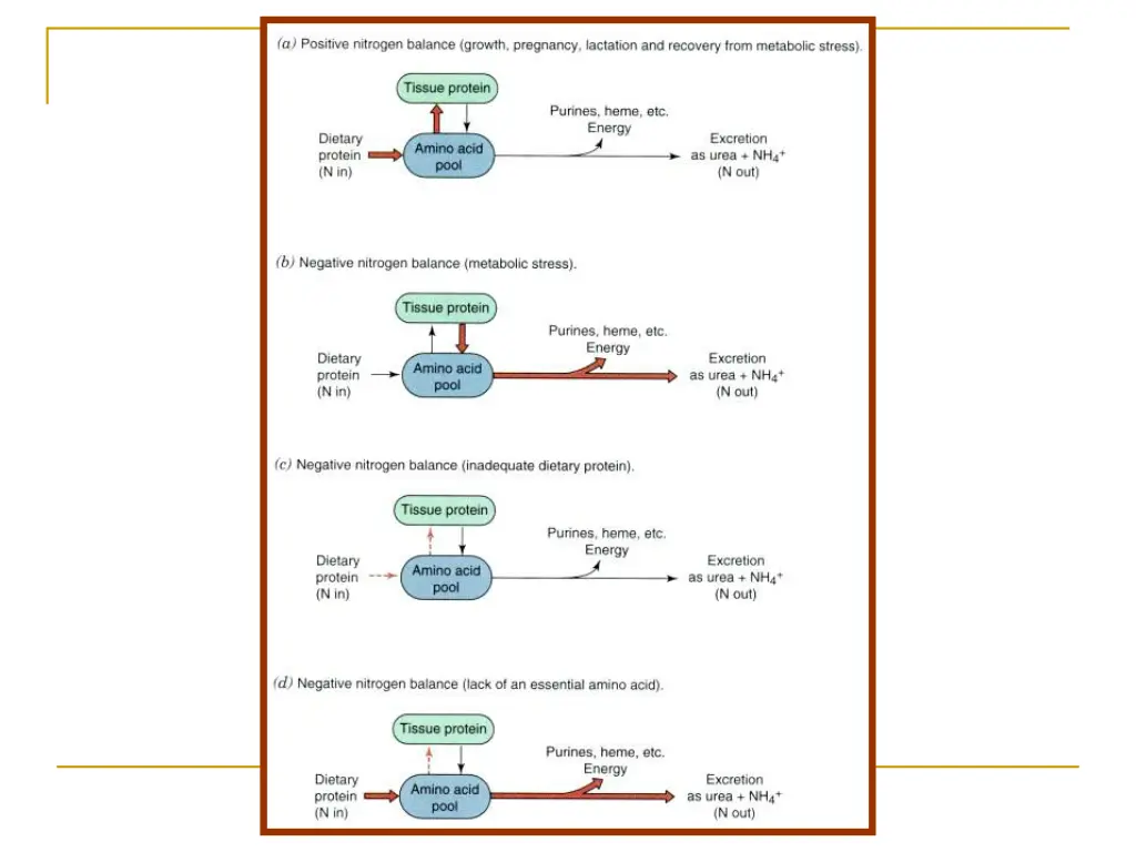 slide10