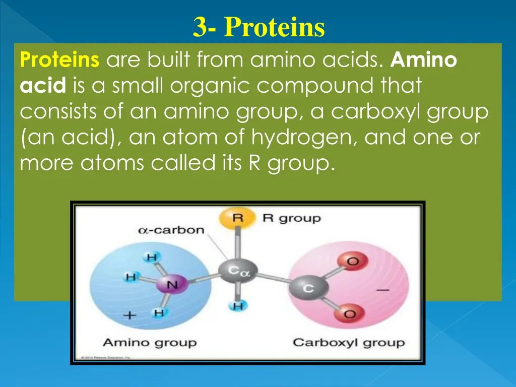 3 proteins