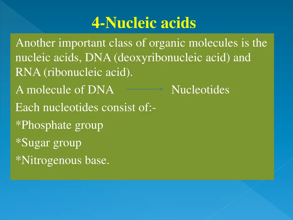 4 nucleic acids