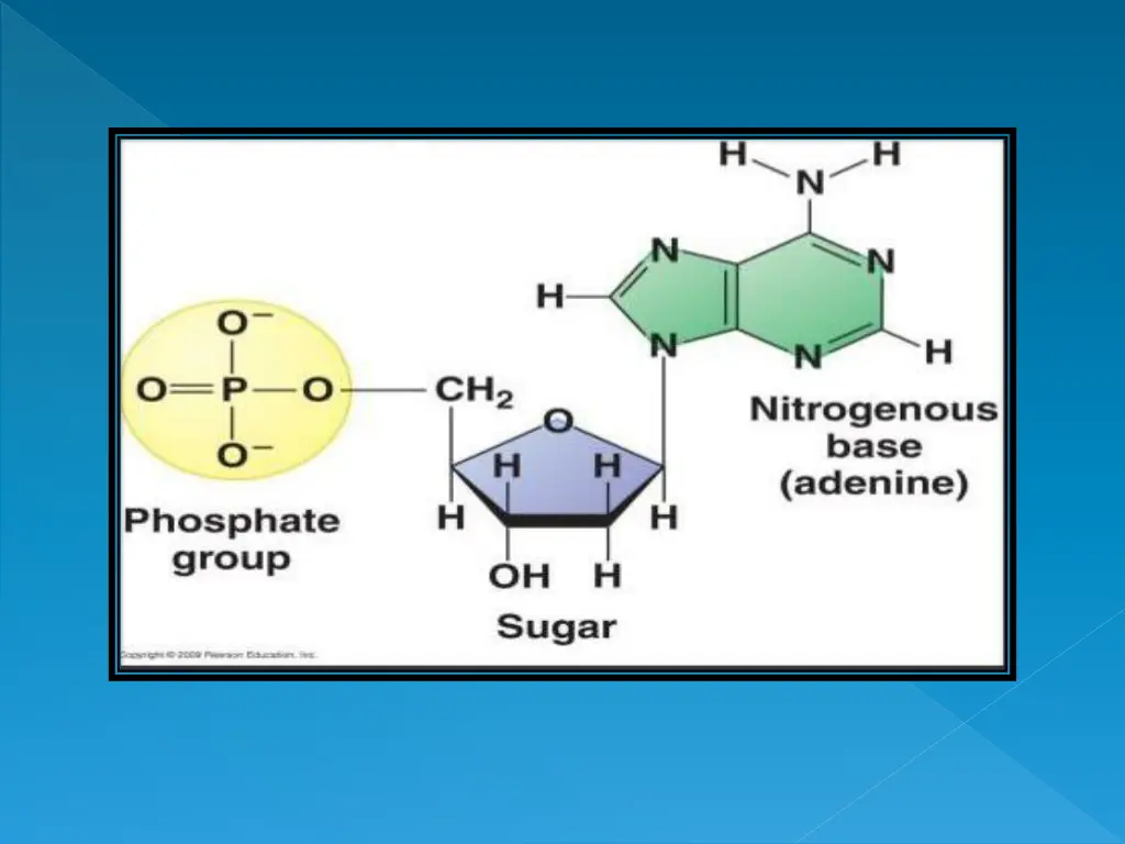 slide14