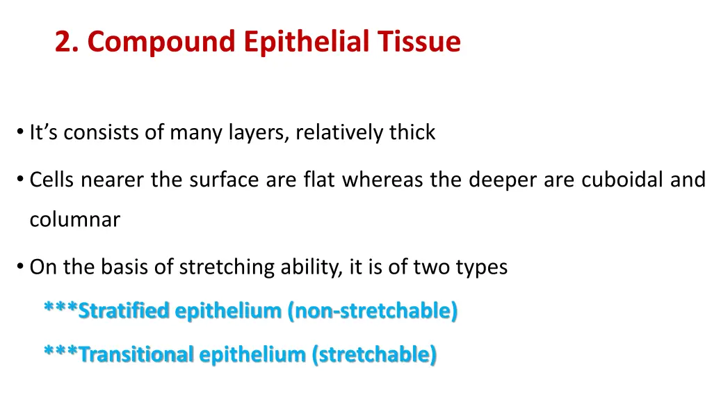 2 compound epithelial tissue