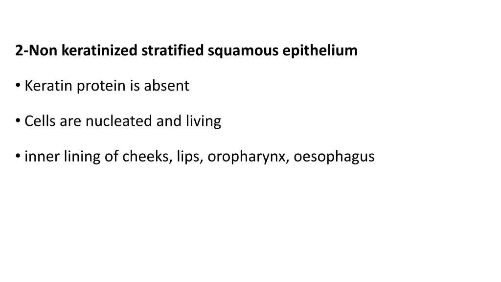 2 non keratinized stratified squamous epithelium