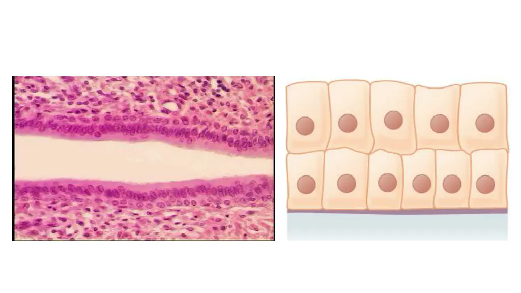 slide10