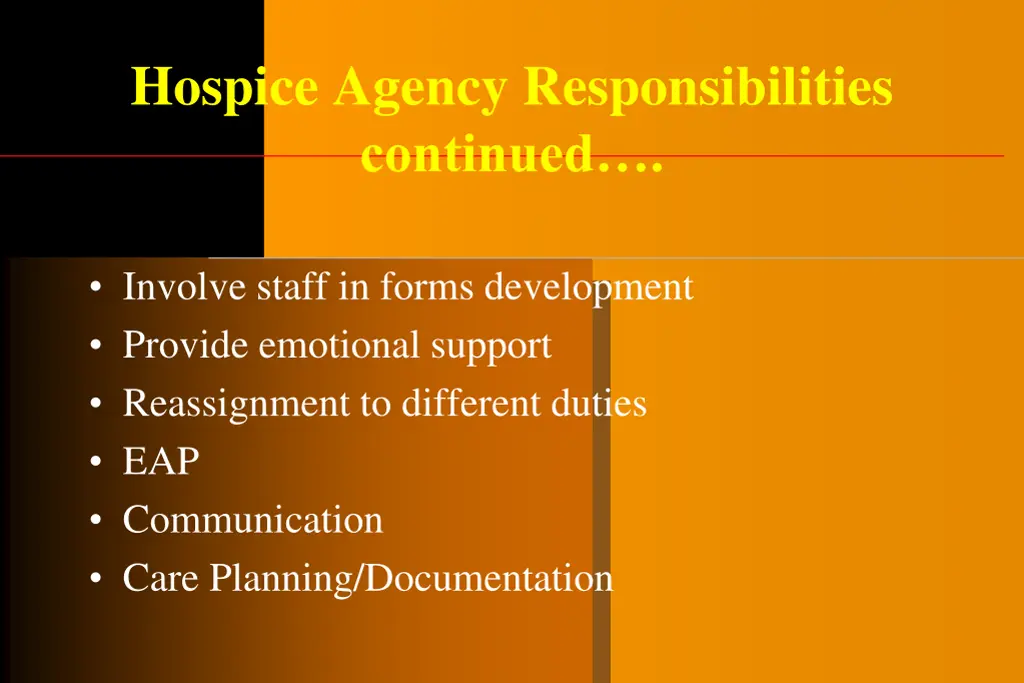 hospice agency responsibilities continued