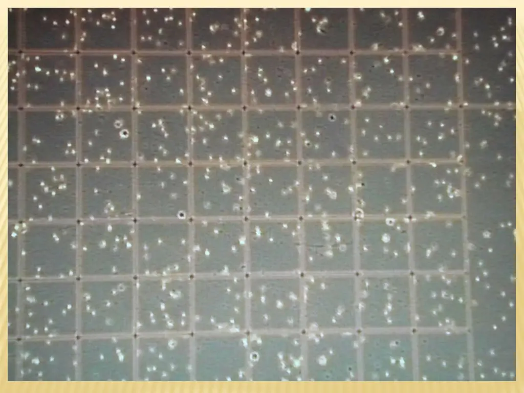 slide21