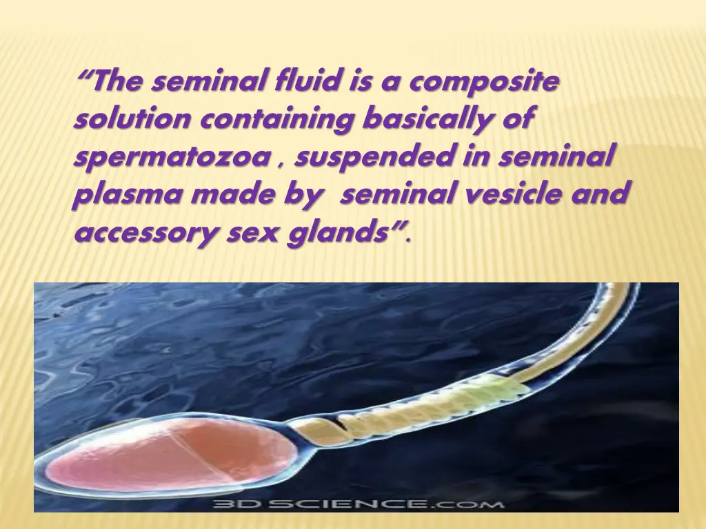 the seminal fluid is a composite solution