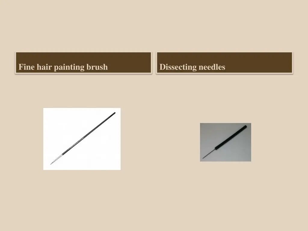 fine hair painting brush