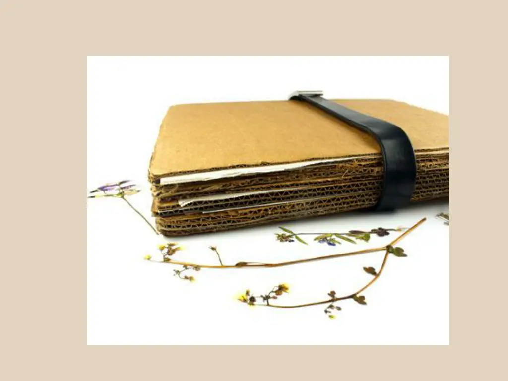 plant press 1 jpg