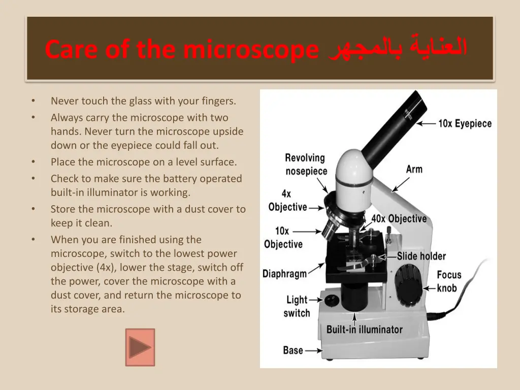 slide11