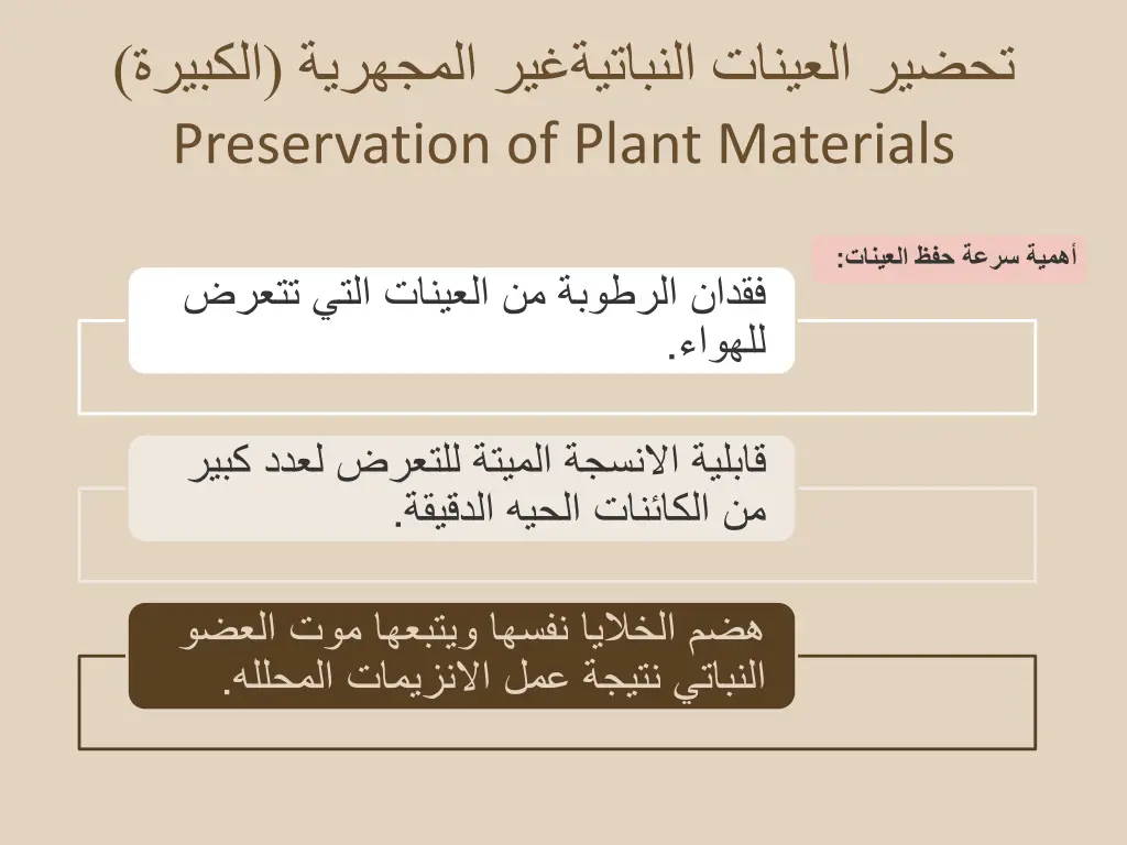 slide15