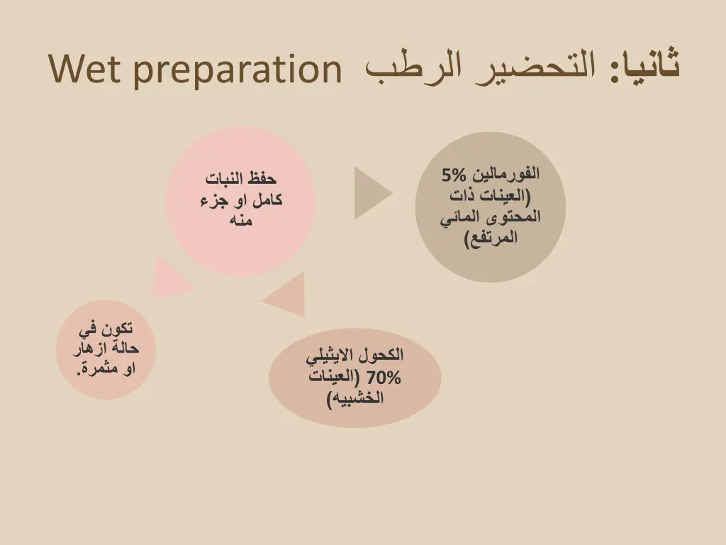 slide17
