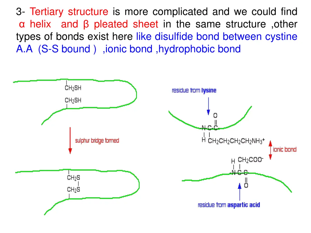 3 tertiary structure is more complicated