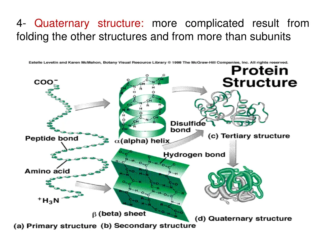 4 quaternary structure more complicated result
