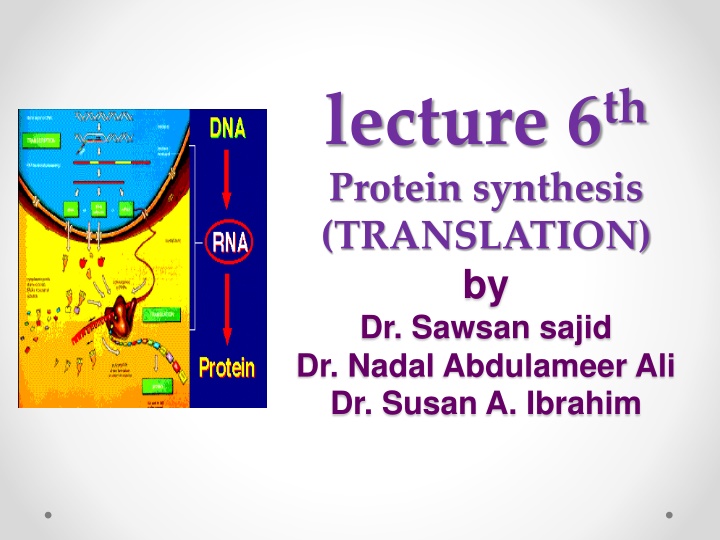 lecture 6 th protein synthesis translation