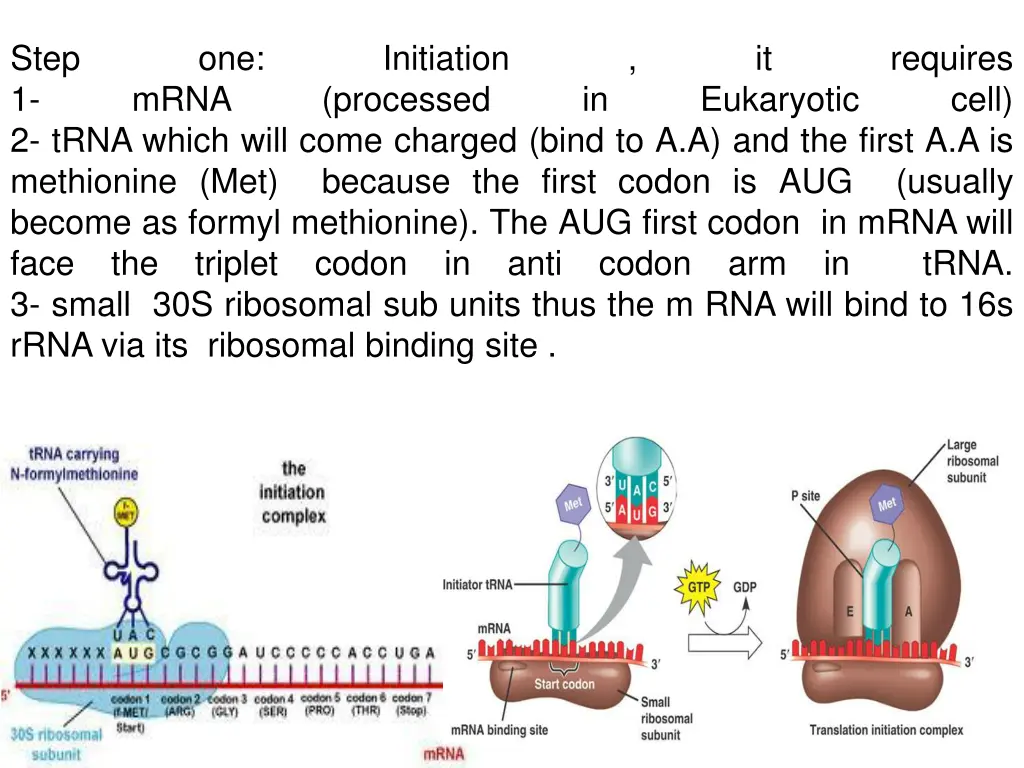 step 1 2 trna which will come charged bind