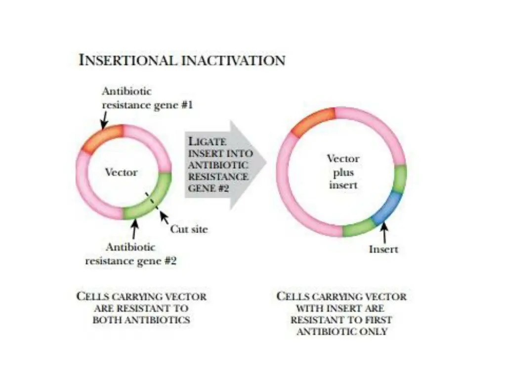 slide3