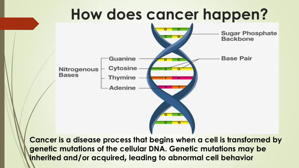 how does cancer happen